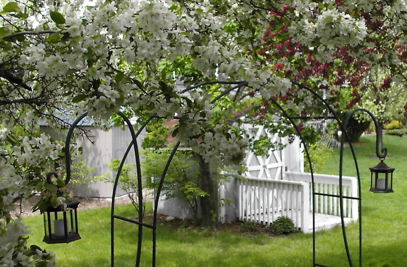 naperville facility